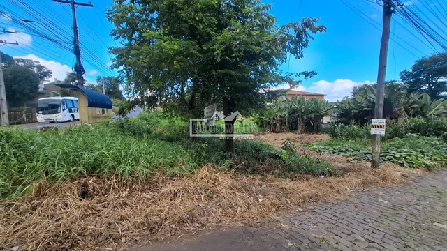 Terreno, foto 3