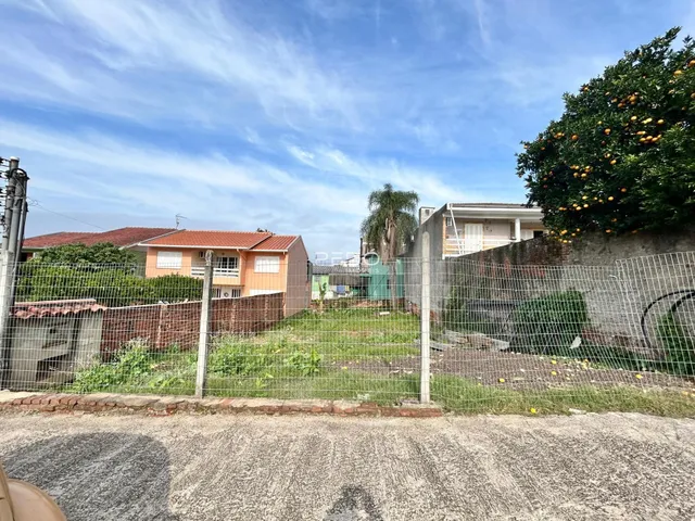 Vista da propriedade com cerca de arame e vegetação no quintal.