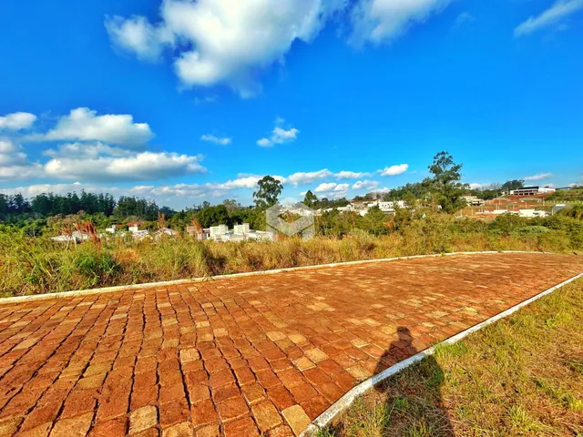Terreno, foto 3