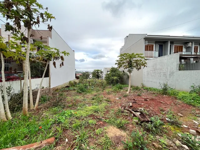 Terreno, foto 4