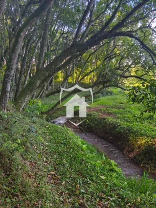 Área rural com 4 dormitórios, foto 12