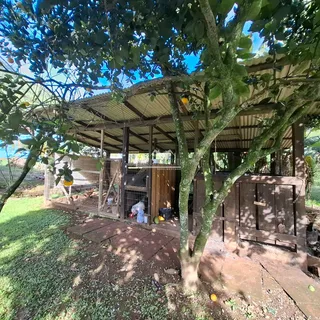 Casa com 4 dormitórios, foto 14