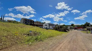 Vista da propriedade com terreno gramado e estrada de terra em Lajeado.