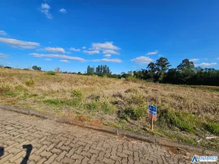 Terreno, foto 12