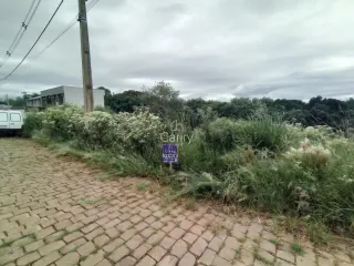 Terreno, foto 1