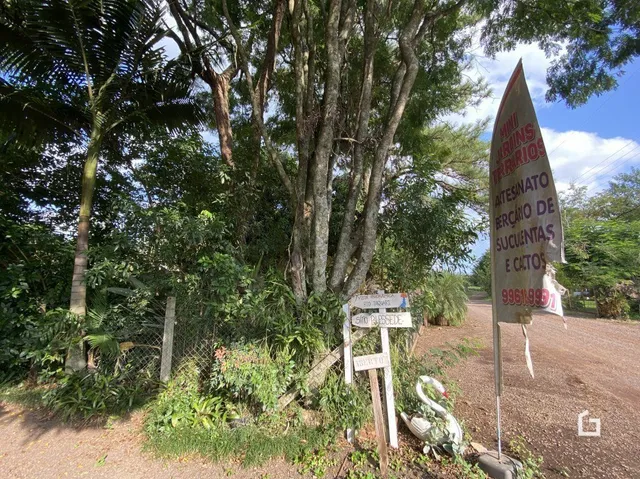 Área rural, foto 2