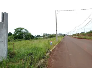 Vista de uma estrada rural com vegetação alta e cerca.
