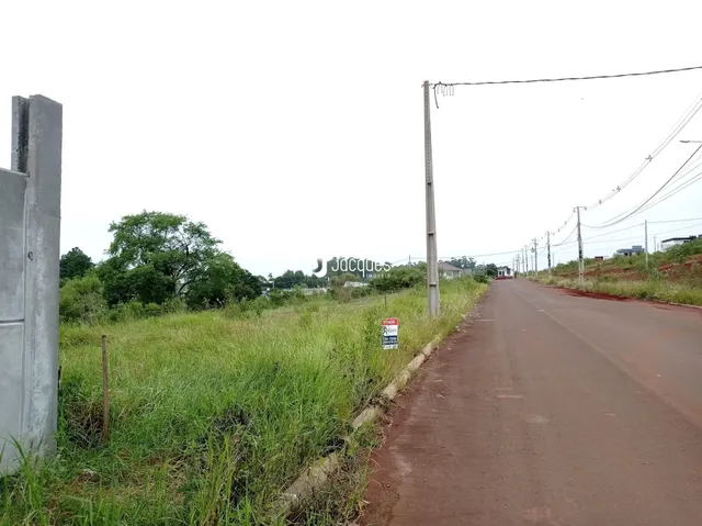 Vista de uma estrada rural com vegetação alta e cerca.