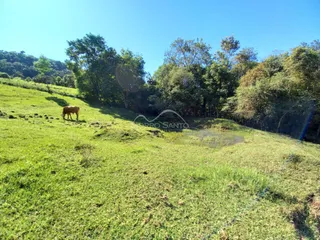 Área rural, foto 6