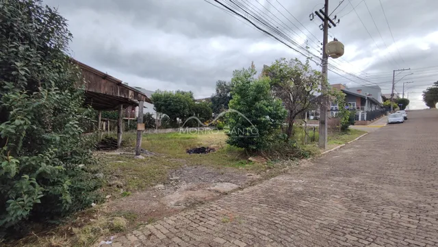 Terreno, foto 3