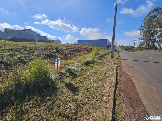 Terreno, foto 3