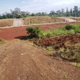 Foto de terra vermelha e vegetação rasteira em uma área externa.