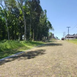 Vista de uma estrada com vegetação densa ao ar livre.