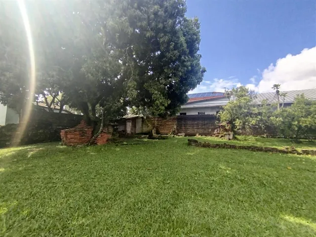 Terreno, foto 5