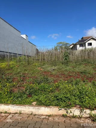 Terreno, foto 1