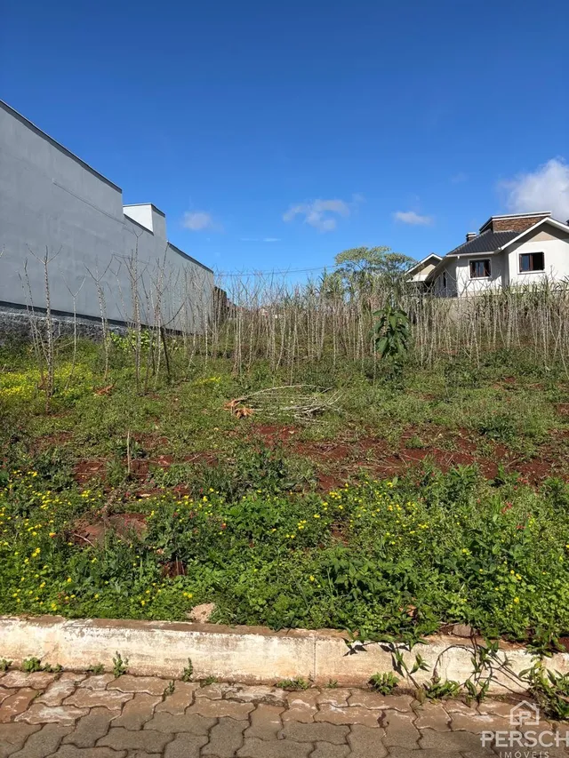 Terreno