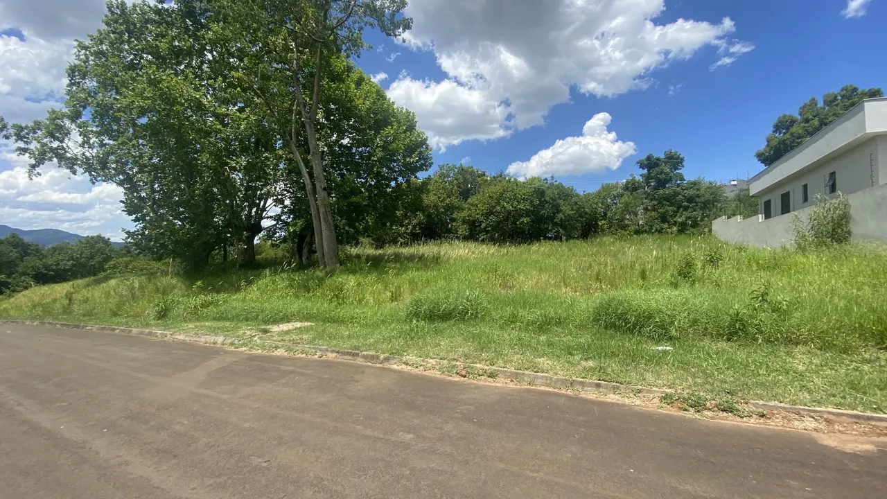 Vista externa de uma estrada com vegetação alta e árvores ao fundo.
