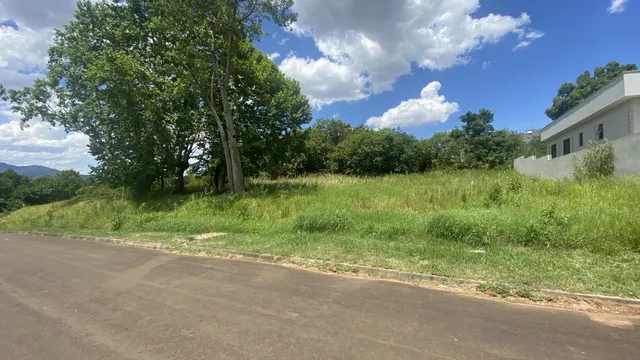 Vista externa de uma estrada com vegetação alta e árvores ao fundo.