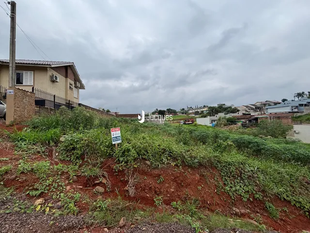 A foto mostra uma encosta com vegetação densa ao lado de uma residência.