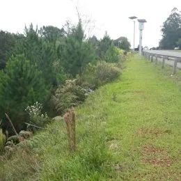Área rural, foto 3