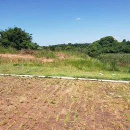 Terreno, foto 2
