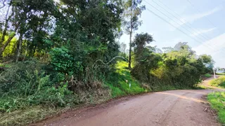 Uma estrada de terra leva a uma área com vegetação densa.