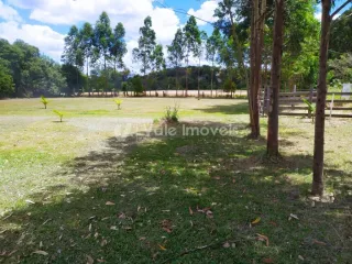 Área rural, foto 5