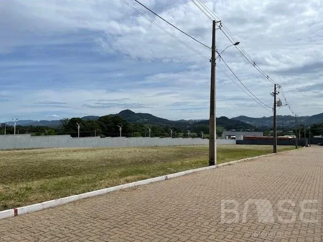 Terreno, foto 2