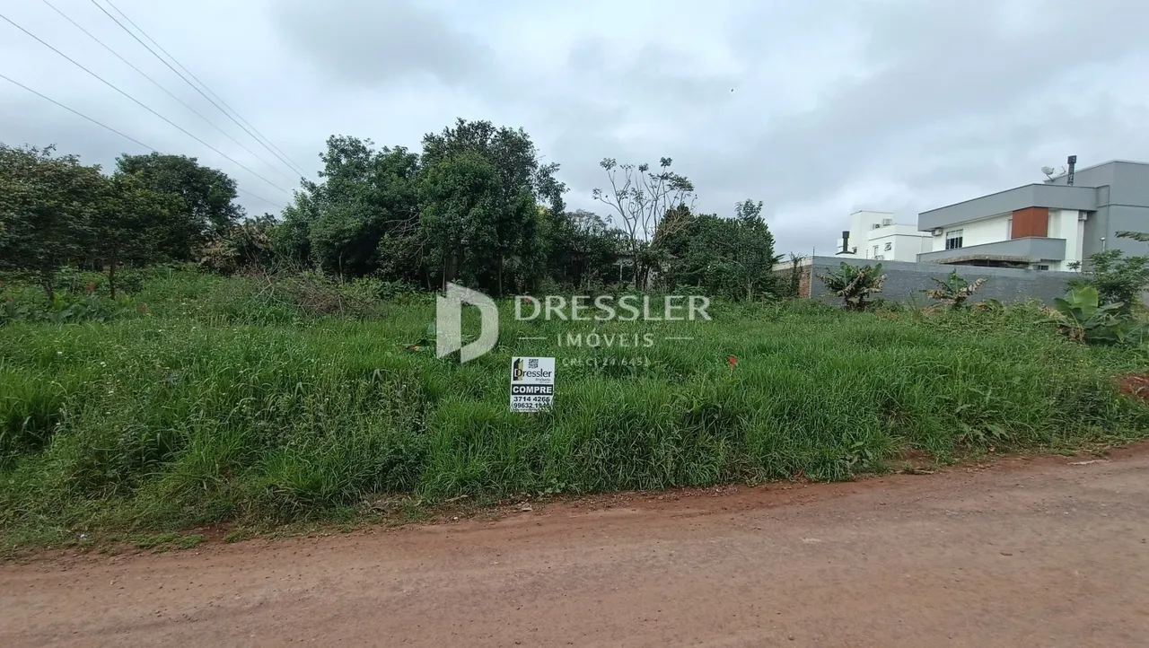 Vista externa de uma propriedade com vegetação densa e estrada de terra no primeiro plano.