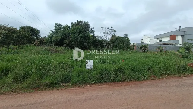 Vista externa de uma propriedade com vegetação densa e estrada de terra no primeiro plano.