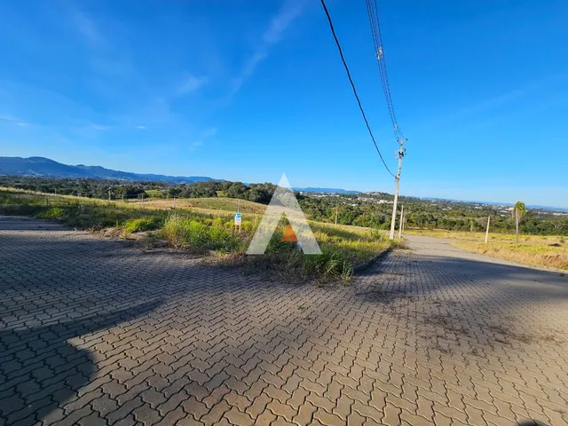 Terreno, foto 2