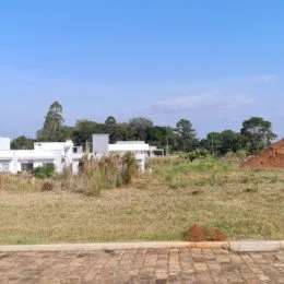 Vista externa de um terreno aberto com vegetação seca.