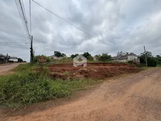 Vista da propriedade com terreno aberto e vegetação alta ao lado de uma estrada de terra.