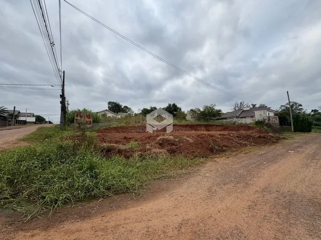Vista da propriedade com terreno aberto e vegetação alta ao lado de uma estrada de terra.