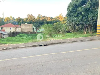 Terreno, foto 3