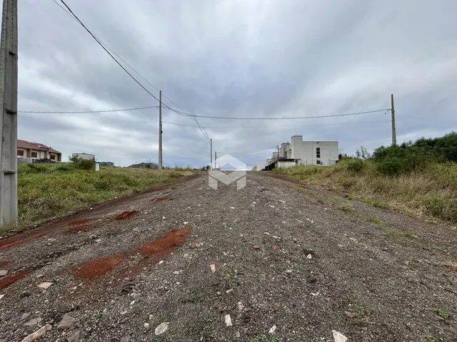 Uma estrada de terra leva a um terreno com vegetação ao fundo.