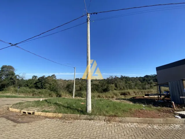 Terreno, foto 3