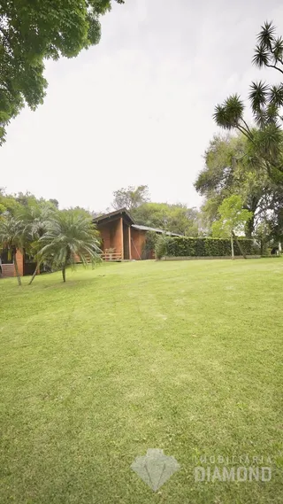 Vista de um gramado verde com vegetação ao fundo.