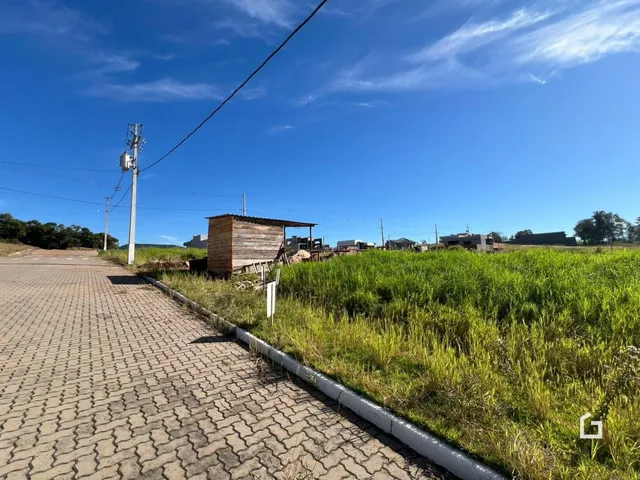 Vista de uma propriedade rural com uma estrada e vegetação ao fundo.