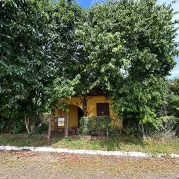 Foto externa mostrando vegetação densa em frente a uma propriedade.