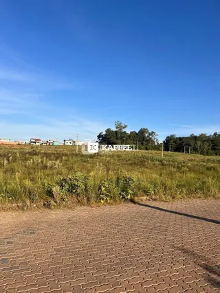 Vista de um campo aberto com grama seca sob um céu azul.