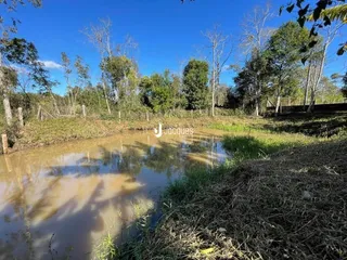 Paisagem de um corpo d'água cercado por vegetação e árvores.