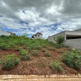 Uma vista externa de uma área com vegetação densa em um terreno.