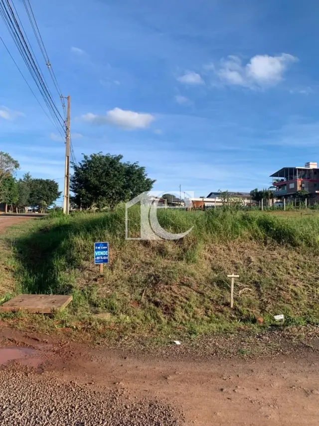 Terreno, foto 3