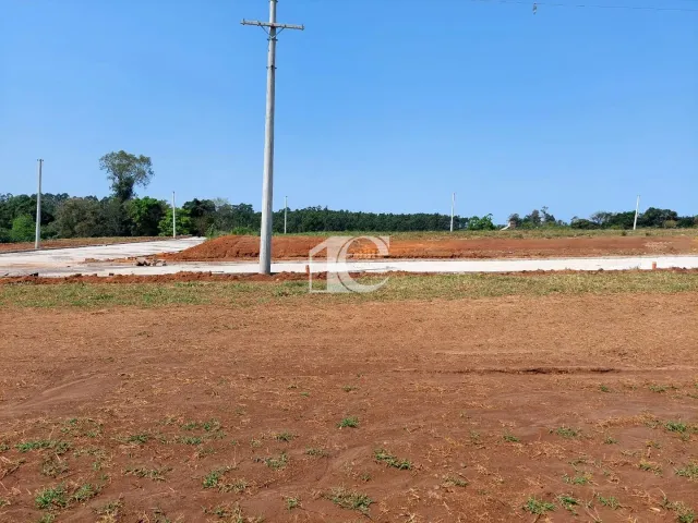Terreno, foto 4