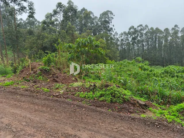 Área rural, foto 3