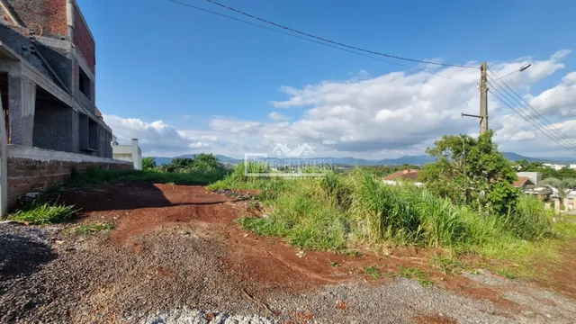 Terreno, foto 3