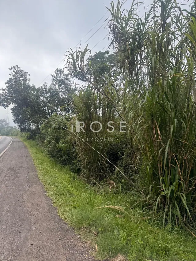 Área rural, foto 5
