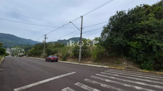 Vista da rua com árvores e postes em Lajeado, Brasil.