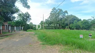 Terreno, foto 2